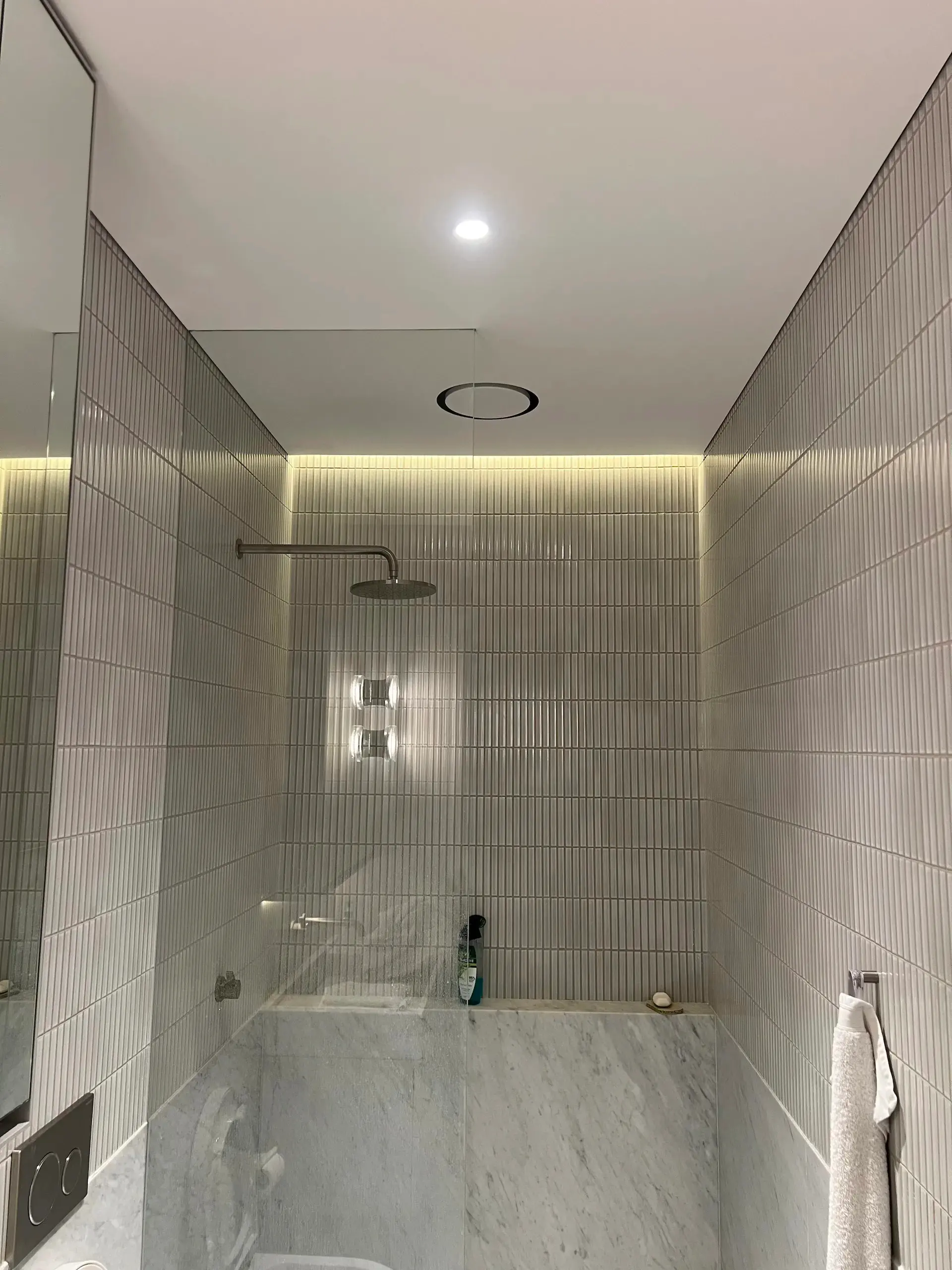 Waterproof shower downlight and cove lighting installed in a Paddington bathroom